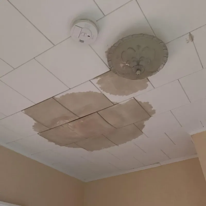 Ceiling Water Damage Repair in Franklinton, LA