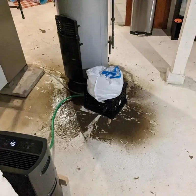Sewage Backup Cleanup Service in Franklinton, LA
